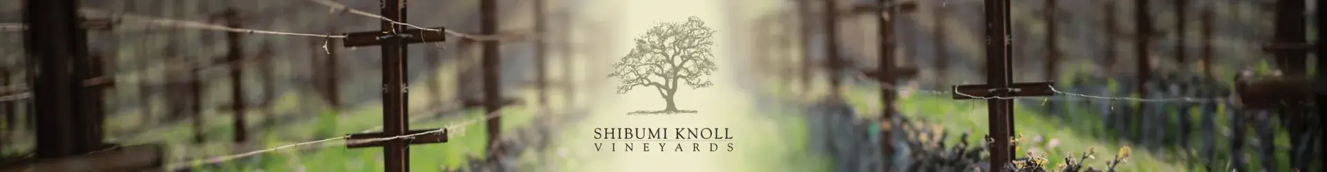 Shibumi Knoll