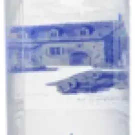 Bottle 15556-NV-6-175