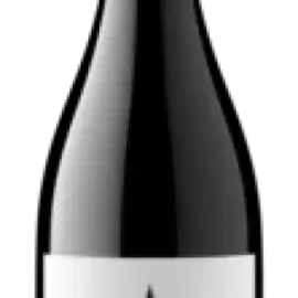 Bottle 72223-2023-12-075