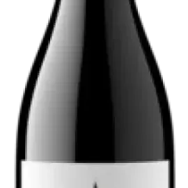 Bottle 72854-2023-12-075