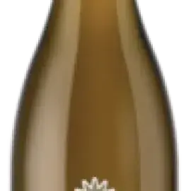 Bottle 72876-2023-12-075