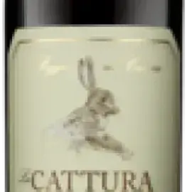 Bottle 82080-2022-12-075