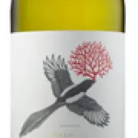 Bottle 83225-2025-12-075