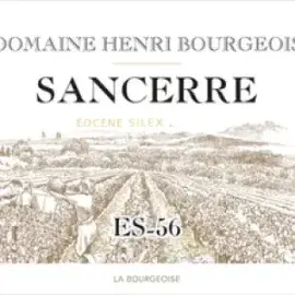 Label 15095-2024-12-075