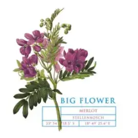 Label 91096-2023-12-075