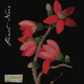 Label 91101-2022-12-075